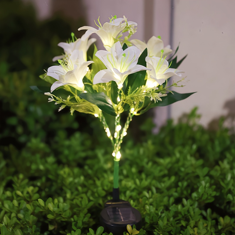 ไฟประดับสวนพลังงานแสงอาทิตย์รู - Outdoor Lighting Effects บทวิจารณ์และราคา